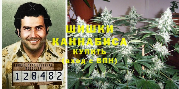 стафф Михайловск