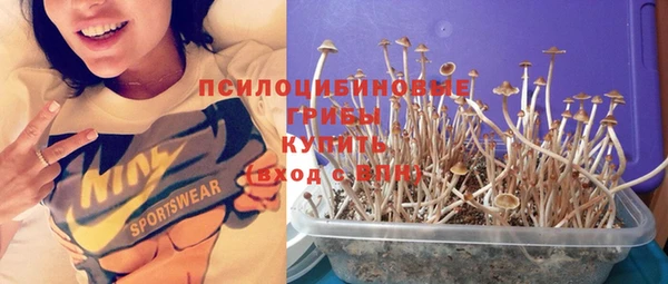 стафф Михайловск